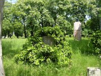 Itt nem azonosítható